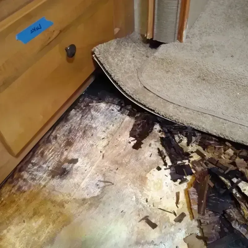 Wood Floor Water Damage in Summerlin South, NV